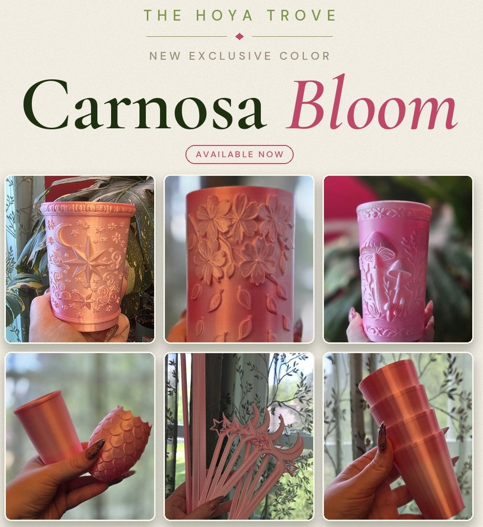 Carnosa Bloom - filament color options