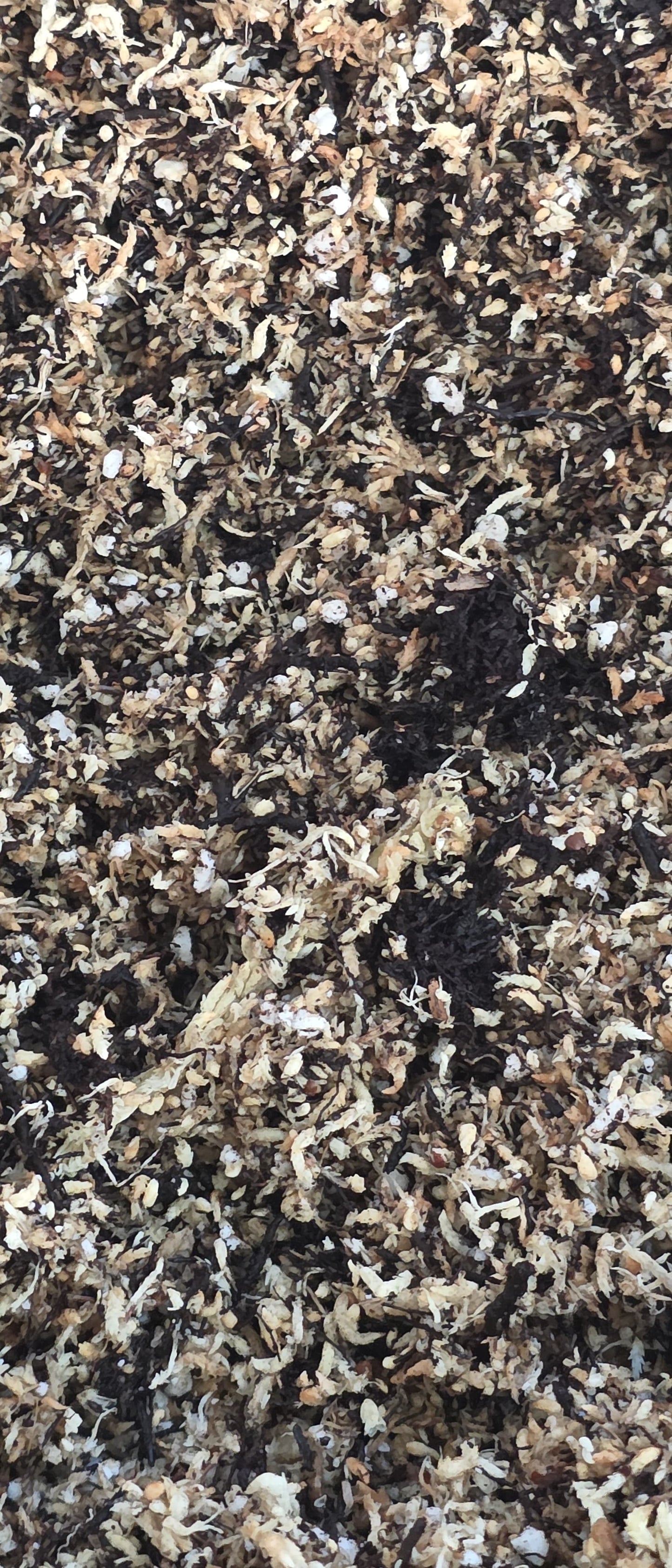 The Trove's Signature Rooting & Growth Blend