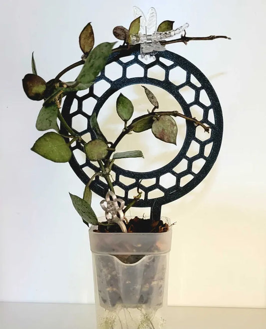 Honeycomb Hoop Trellis