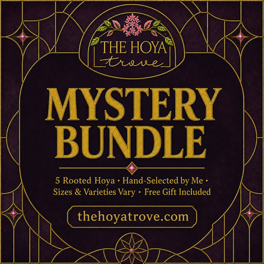 The Trove Rooted Mystery Bundle