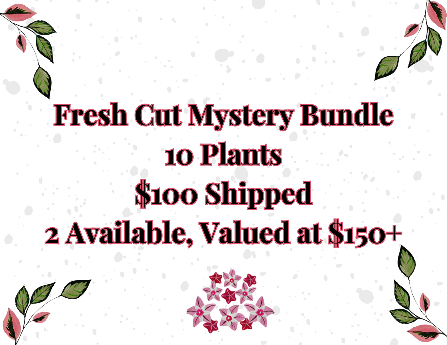 Fresh Cut Mystery Bundle 10 Cuttings