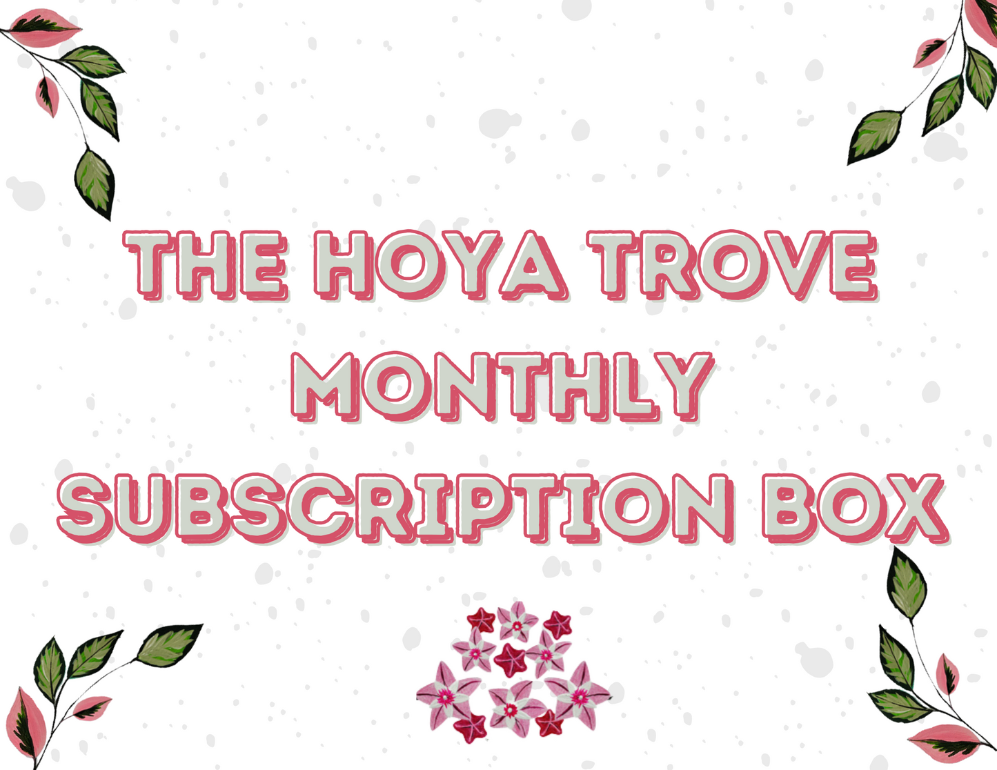 The Hoya Trove Monthly Subscription (April - September)