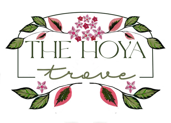 The Hoya Trove