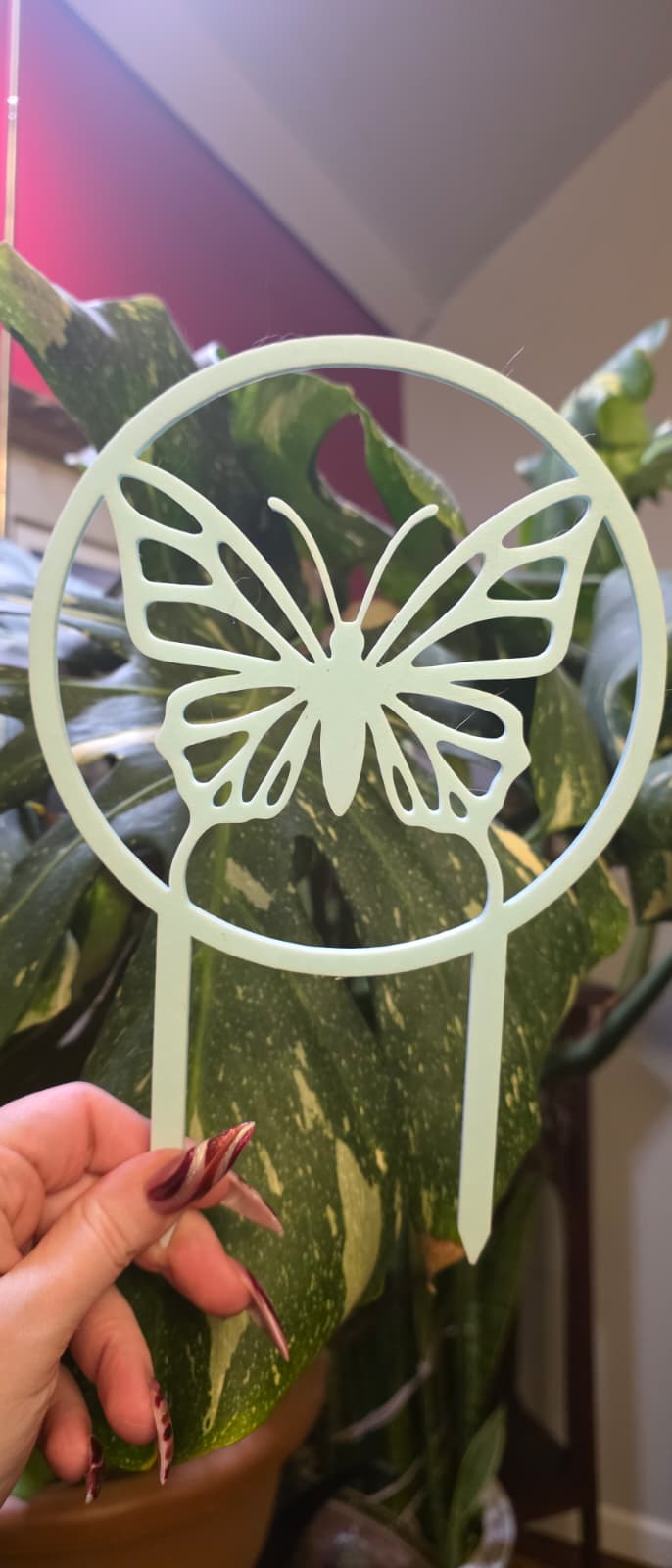 Butterfly Hoop Trellis