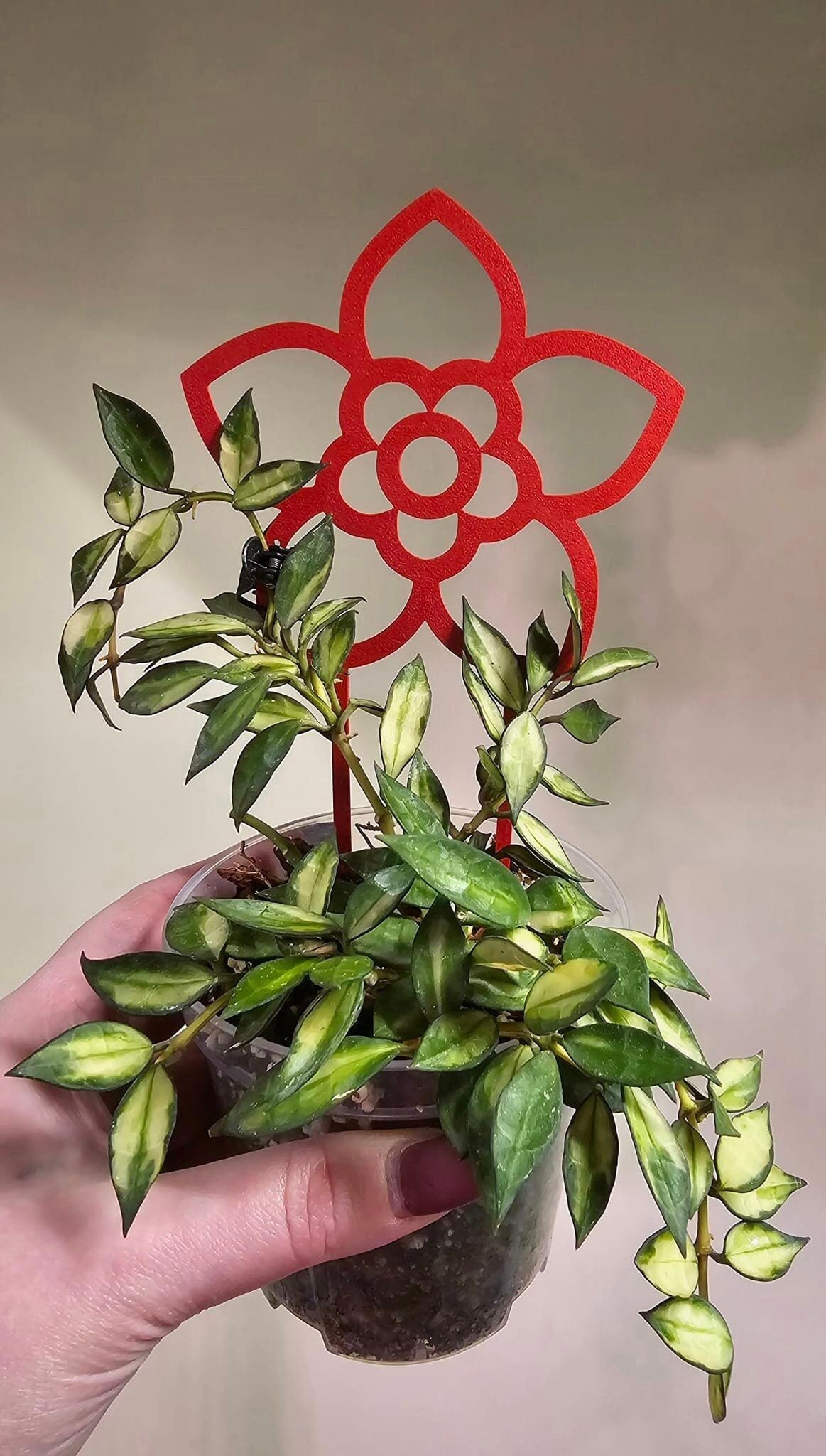 3d print plant trellis Flower Trellis/Suppprt — 3D-Printed Plant Support