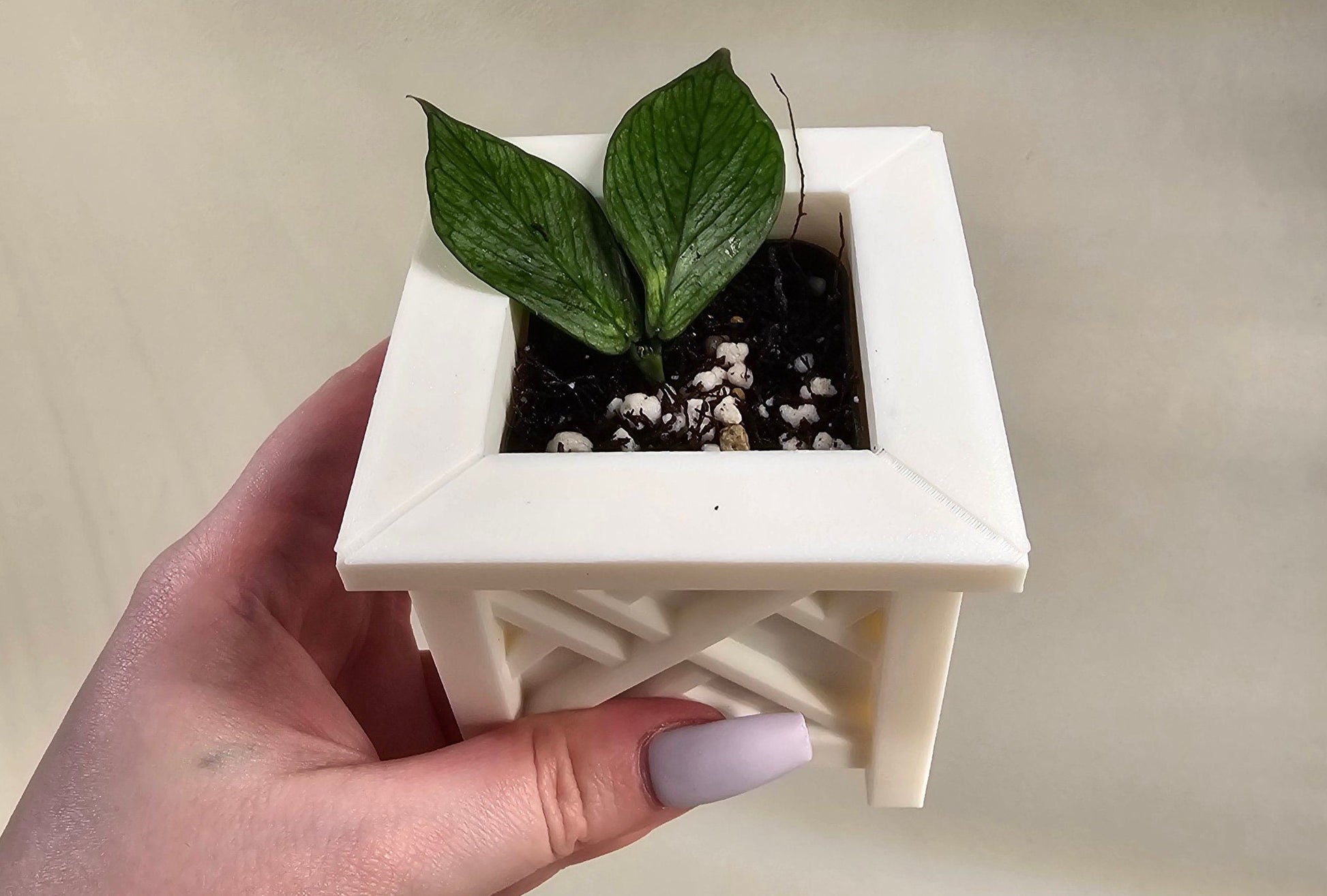 small house plant pots 3D Printed Square Pot for House Plants