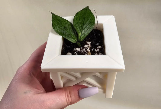 3D Printed Square Pot for House Plants