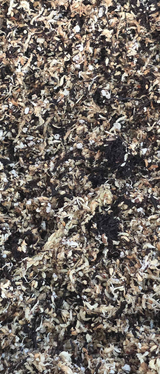 The Trove's Signature Rooting & Growth Blend
